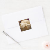 Sticker Carré Joli tabi chat jaune allongé sur un canapé. (Enveloppe)