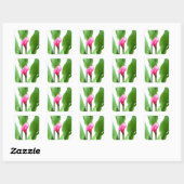 Sticker Carré Jolie Calla Lily Rose (Feuille)