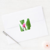 Sticker Carré Jolie Calla Lily Rose (Enveloppe)