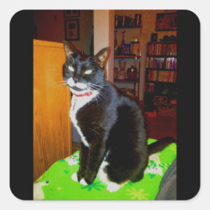 Sticker Carré Jolie fille Lucy