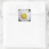 Sticker Carré Jolie marguerite (Sac)