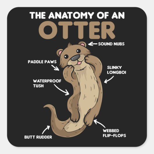 Sticker Carré Jolie Otter Explication Anatomie D'Une Otter (Devant)