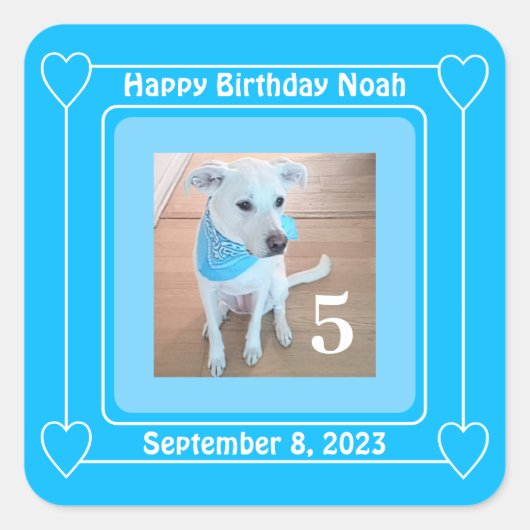 Sticker Carré Jolie photo Chien Chien Chien Chien Chien Chien Ch (Devant)