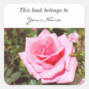 Sticker Carré jolie rose rose fleur avec coeurs doux
