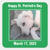 Sticker Carré Jolie St. Patrick's Day Green Lazy Chien (Devant)