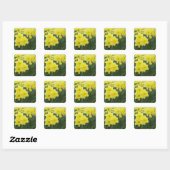 Sticker Carré Jonquilles RF) (Feuille)