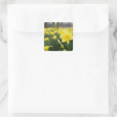 Sticker Carré Jonquilles (RF) (Sac)