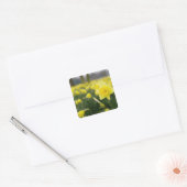 Sticker Carré Jonquilles (RF) (Enveloppe)
