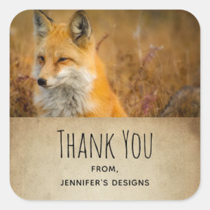 Sticker Carré Jote Red Fox Wild Nature Photographie Merci