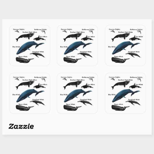 STICKER CARRÉ JOURS DE BALEINE (Feuille)