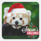 Sticker Carré Joyeuses Fêtes de Red Panda (Devant)