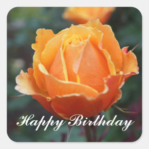 Sticker Carré Joyeux anniversaire à propos de Face Rose #1 Stick