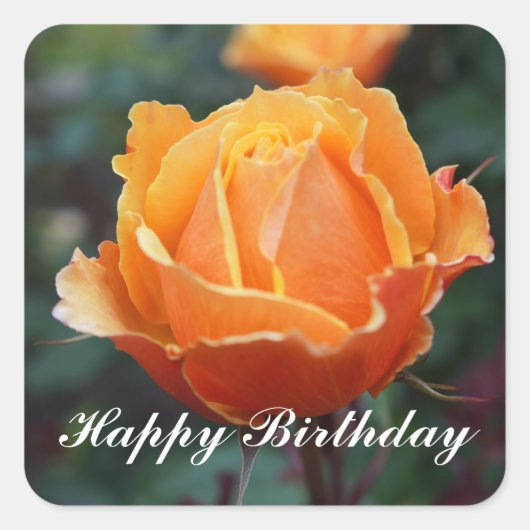 Sticker Carré Joyeux anniversaire à propos de Face Rose #1 Stick (Devant)