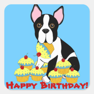 Sticker Carré Joyeux Anniversaire Boston Terrier Cupcakes Sticke