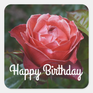 Sticker Carré Joyeux Anniversaire Chaud Rose de cacao #2-1 Stick
