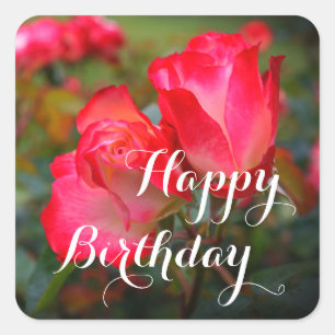Sticker Carré Joyeux Anniversaire Cherry Parfait Rose #4-1 Stick