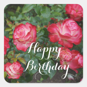 Sticker Carré Joyeux Anniversaire Cherry Parfait Rose #5-1 Stick
