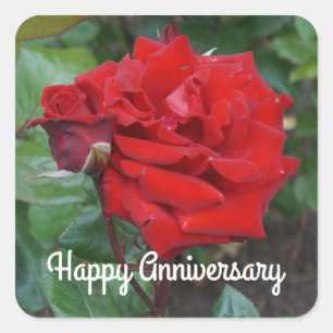 Sticker Carré Joyeux anniversaire Crimson Bouquet Rose #2 Autoco