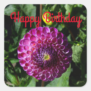 Sticker Carré Joyeux Anniversaire Dahlia Irlandais Miss #1 Stick