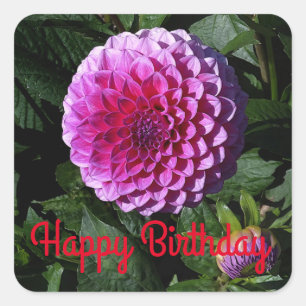 Sticker Carré Joyeux Anniversaire Dahlia Pink Paradise #1 Sticke