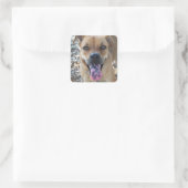 Sticker Carré Joyeux chien Brown avec langue tachetée (Sac)