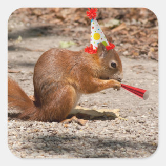 Sticker Carré Joyeux écureuil d'anniversaire