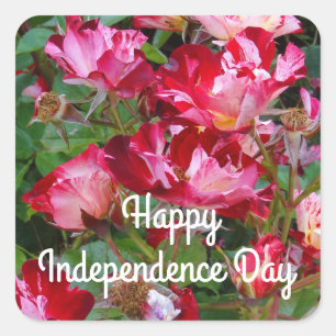Sticker Carré Joyeux Jour de l'Indépendance 4 juillet Rose #2 St