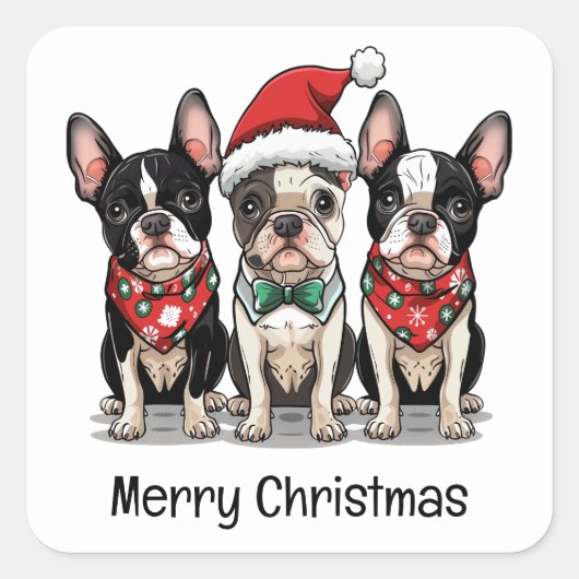 Sticker Carré Joyeux Noël Boston Terrier Chiens (Devant)