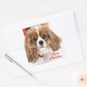 Sticker Carré Joyeux Noël Snowy Cavalier King Charles (Enveloppe)