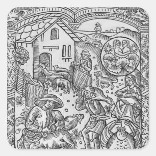 Sticker Carré Juin, tonte des moutons, Gémeaux