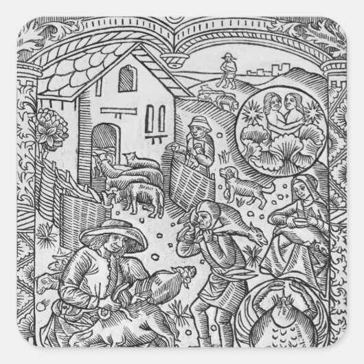 Sticker Carré Juin, tonte des moutons, Gemini (Devant)