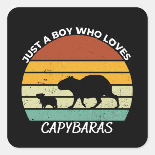 Sticker Carré Just a boy who loves capybaras