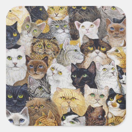 Sticker Carré Juste le Whisker de chat (Devant)