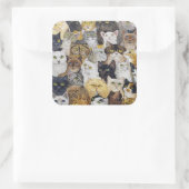 Sticker Carré Juste le Whisker de chat (Sac)