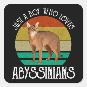 Sticker Carré Juste Un Garçon Qui Aime Les Abyssiniens