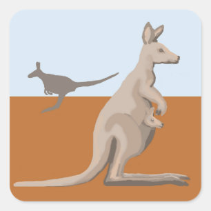 Sticker Carré Kangaroos