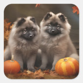 Sticker Carré Keeshond Chiot Automne Citrouille délice (Devant)