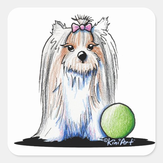 Sticker Carré KiniArt Biewer Yorkie Terrier (Devant)