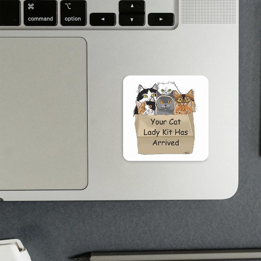 Sticker Carré Kit d'entrée Lady Cat