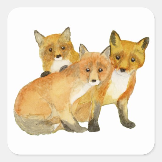 Sticker Carré Kits Fox (Devant)