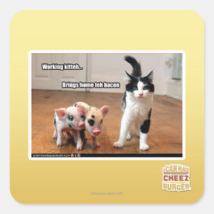 Sticker Carré Kitteh fonctionnant