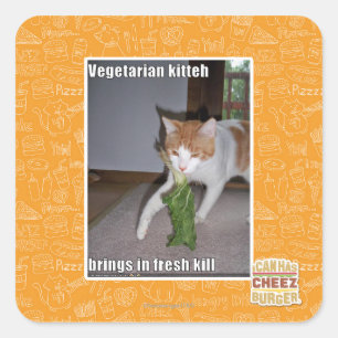 Sticker Carré Kitteh végétarien