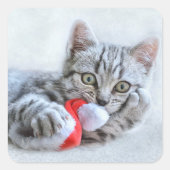 Sticker Carré Kitten (Devant)