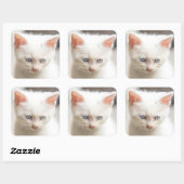 Sticker Carré Kitten blanc (Feuille)