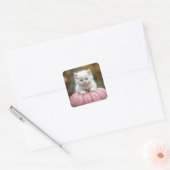 Sticker Carré Kitten blanc sur Citrouille rose (Enveloppe)
