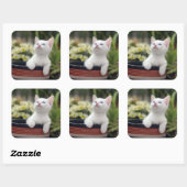 Sticker Carré Kitten blanc turc (Feuille)