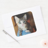 Sticker Carré Kitten bleu clair (Enveloppe)