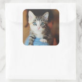 Sticker Carré Kitten bleu clair (Sac)