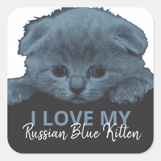 Sticker Carré Kitten bleu russe (Devant)
