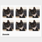 Sticker Carré Kitten de Cute Black And White Tuxedo (Feuille)